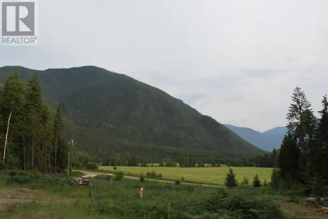 736 BARTLEY Road Nakusp, British Columbia in Land for Sale in Nelson - Image 17