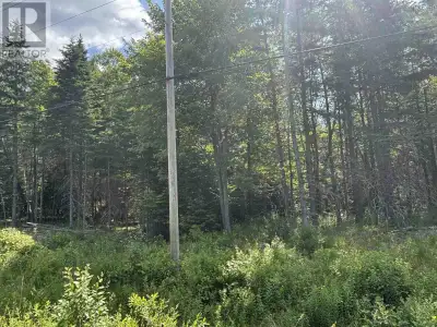 Beautiful building lot on Beechmont Road. Experience country living only 10 mins from the convenienc...