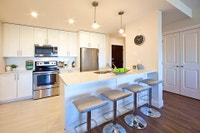 Premium Living in Bedford at Amesbury Gate- Call Today! Current Incentives: 1 Month FREE Rent (on se... (image 1)