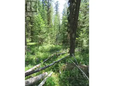 Looking for a property in the popular Deka Lake Subdivision, this 0.60 acre lot has recently been re...