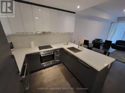 2515 - 488 UNIVERSITY AVENUE Toronto (Kensington-Chinatown), Ont