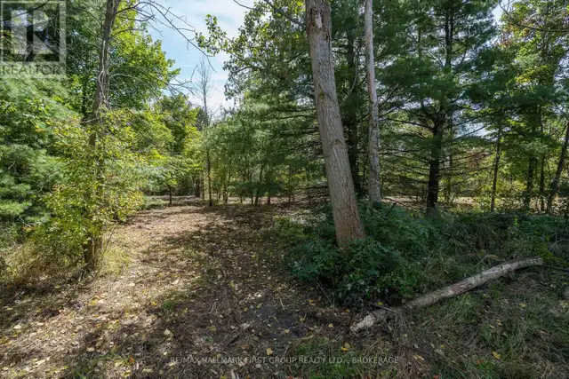 00 PALACE ROAD Greater Napanee (Greater Napanee), Ontario in Land for Sale in Napanee - Image 2