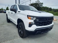 Engine: DURAMAX 3.0L TURBO-DIESEL I6 L/100Km City: 10.7 L/100Km Hwy: 9.3 Safety Equipment Daytime Ru... (image 3)