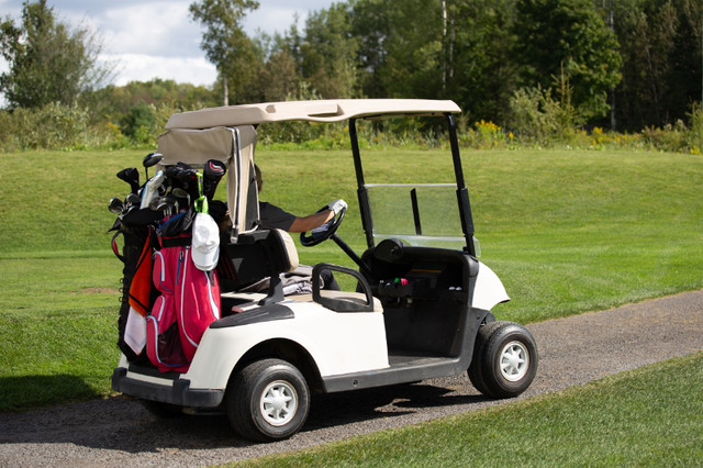 Golf Cart Batteries | Prices Lower than your Handicap in Other in Saint John