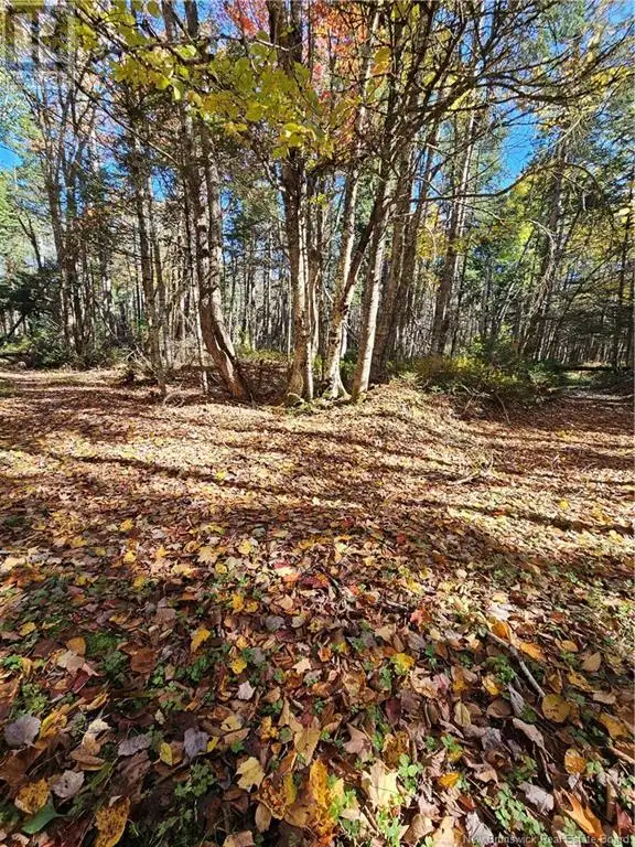 Lot Route 111 Bains Corner, New Brunswick in Land for Sale in Saint John - Image 6