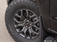 Off-Road Package, Heated Seats, Climate Control, Aluminum Wheels, Running Boards, Remote Start, SYNC... (image 6)