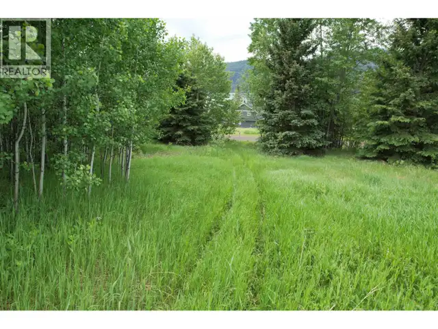 LOT 15 MCCARTHY ROAD Bridge Lake, British Columbia in Land for Sale in 100 Mile House - Image 22