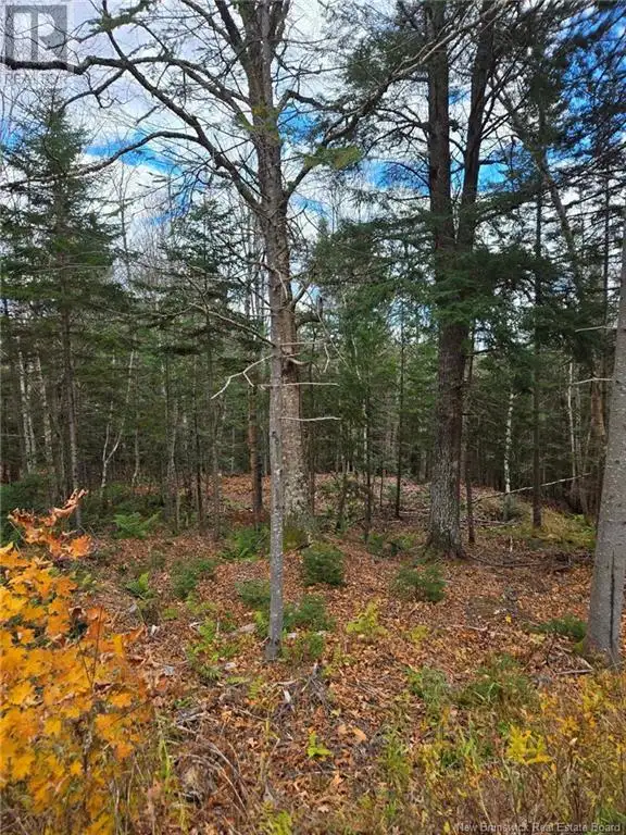 21-01 Worden Road Kingston, New Brunswick in Land for Sale in Saint John - Image 11