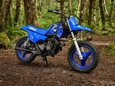 2026 Yamaha PW50One of the industry's best-selling mini-bikes, the affordable and renowned PW50 is a...