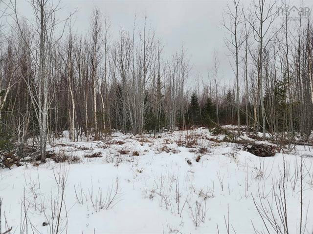 Mackay Road Welsford in Land for Sale in New Glasgow