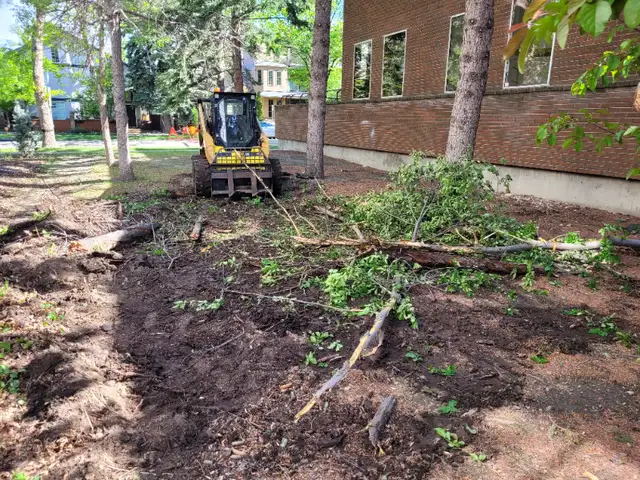Tree Stumps, Bush Removal & Landscaping63006658794755122