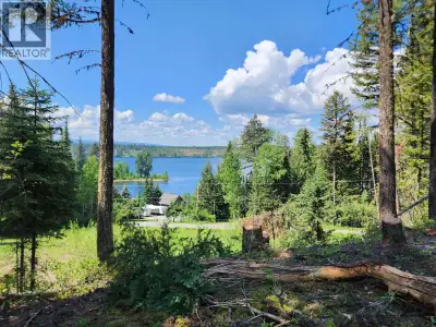 Over an acre with incredible lake views! The driveway is in to a beautiful building site with views...