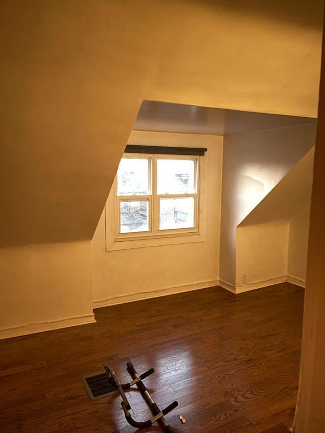 Little Italy Apartment for Rent Long Term Rentals City of Toronto