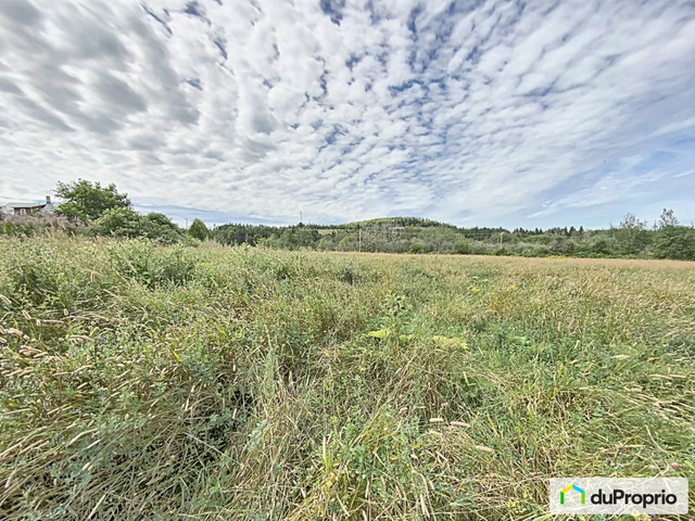 325 000$ - Prix taxes en sus - Terre agricole à vendre in Land for Sale in Edmundston - Image 4