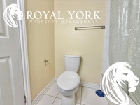 ** OPEN 24/7 - CALL: 437-561-9900 ** 1 Bedroom, 1 Bathroom, Near Parks, Public Transportation, Bus S... (image 4)