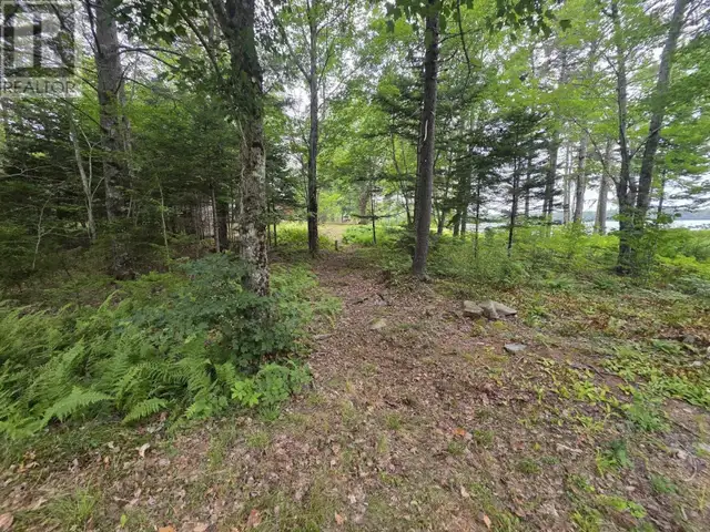 Lot 1 Old North Range Road Ashmore, Nova Scotia in Land for Sale in Yarmouth - Image 28