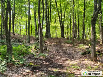 EN ATTENTE OFFRE REÇUE. Domaine de 56 acres de toute beauté avec chemin privé, sentier aménagé, fala...