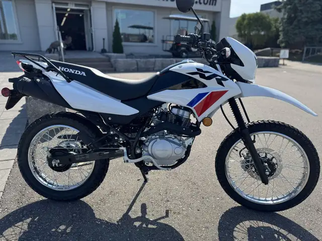2025 Honda XR150L Standard in Street, Cruisers & Choppers in Kitchener / Waterloo - Image 3