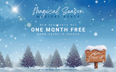 Gloucester Apartments are close to it all! Located at Gloucester Street and Jarvis Street, these apa...