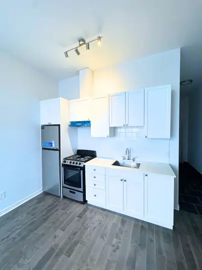 Renovated 3.5 - ACADIE METRO - Parc-Ex