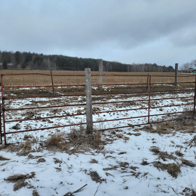 steel farm gates in Equestrian & Livestock Accessories in Renfrew