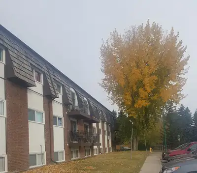 5 Min Drive to U of S - Quiet Crescent off 8th Street - 2 bed