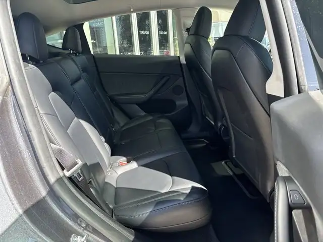 2023 Tesla Model Y Base5601878023766118423