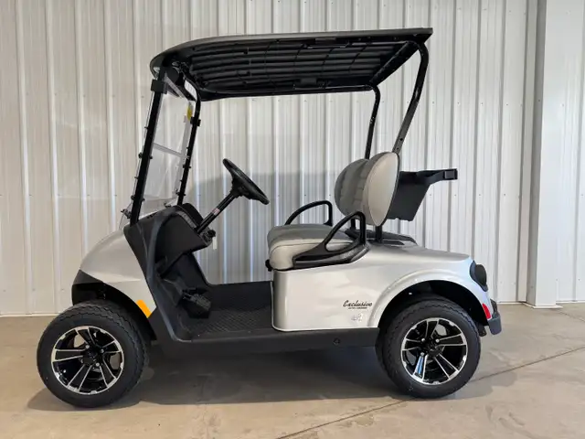 2026 EZGO RXV2 Freedom Platinum in ATVs in Vernon - Image 6