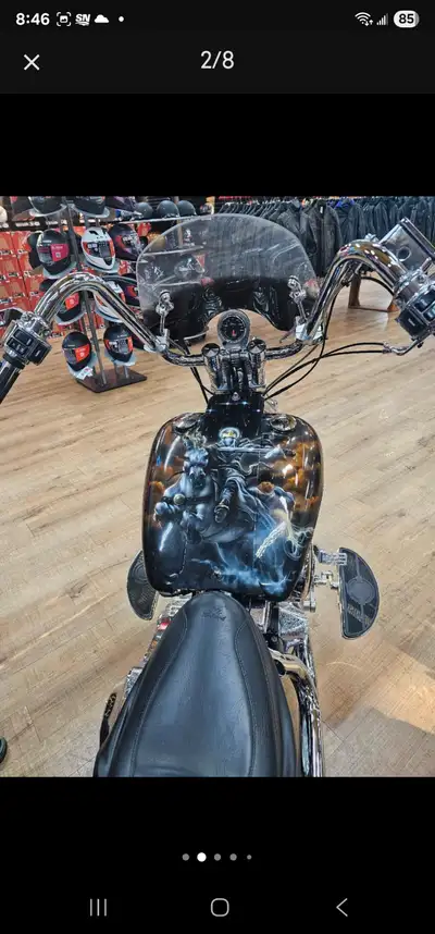 CUSTOM 2017 HARLEY TRIKE. EVOLUTION ENGINE. SADDLE AND TOURING BAGS INCLUDED. AIRBRUSH BY PAINT DRUI...