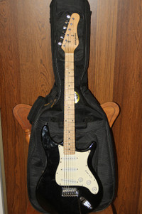 Guitar & Bag - $100