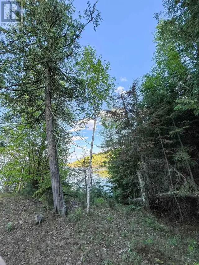 11 Hay Island, Lake of the Woods S of Kenora, Ontario in Land for Sale in Kenora - Image 5