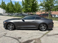 Unleash the spirit of the open road with this 2015 Ford Mustang Fastback Ecoboost Premium, finished... (image 1)