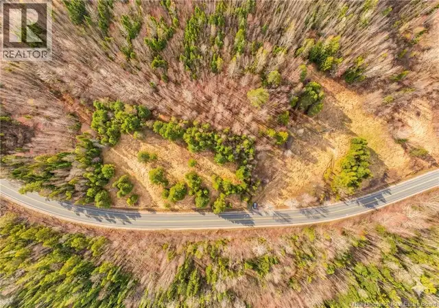 2997 Route 3 Hwy Harvey, New Brunswick in Land for Sale in Fredericton - Image 26