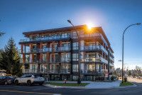 Move-In Now and Live Rent Free Until September + $500 Security Deposit Move in this month and you ma... (image 1)