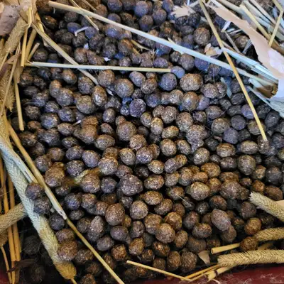 FUMIER COMPOSTE LAPIN * RABBIT COMPOST MANURE, View more