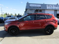 Thanks for viewing our South View Motors Inventory! This 2019 Ford Escape with 4WD Sport Appearance... (image 8)