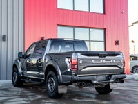 Carget Supercentre is proud to present this 2019 Ford F-150 Raptor! EXTERIOR: MAGNETIC INTERIOR: BLA... (image 7)