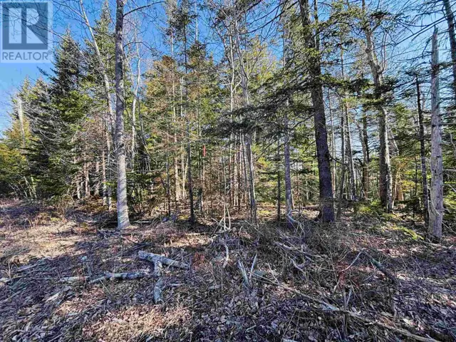 Lot 1 Oldham Road Enfield, Nova Scotia in Land for Sale in City of Halifax - Image 10