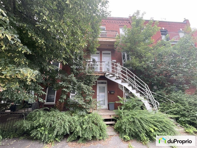 1re avenue — photo 1