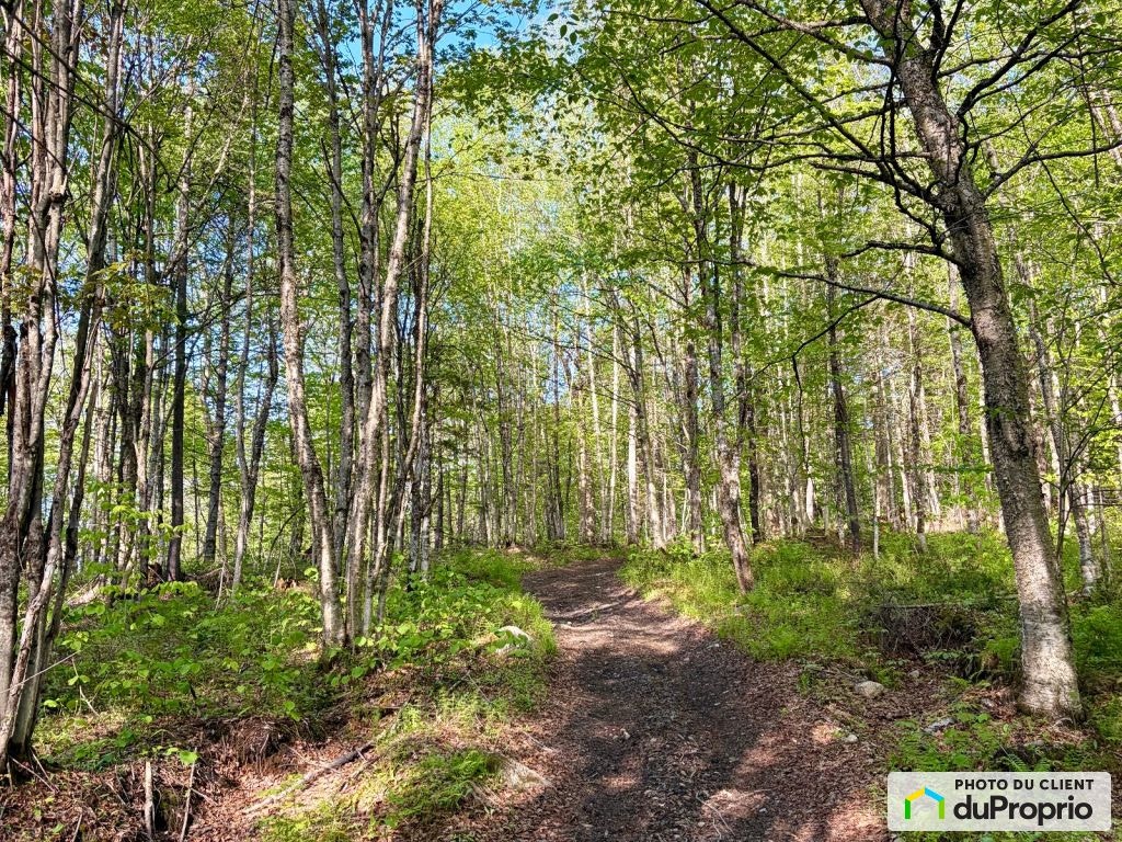 $239,000 - Residential Lot for sale in St-Raymond — photo 2