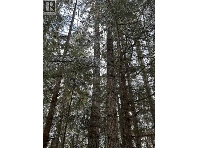 DL 7054 W 16 HIGHWAY McBride, British Columbia in Land for Sale in Quesnel - Image 6