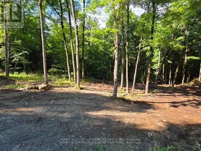 Beautiful 10 acre lot in a mature forest setting. Rolling land with mostly hardwood, and old growth...
