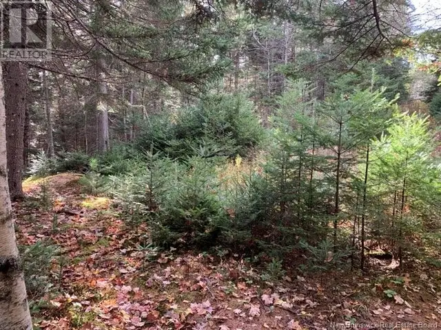 21-01 Worden Road Kingston, New Brunswick in Land for Sale in Saint John - Image 6