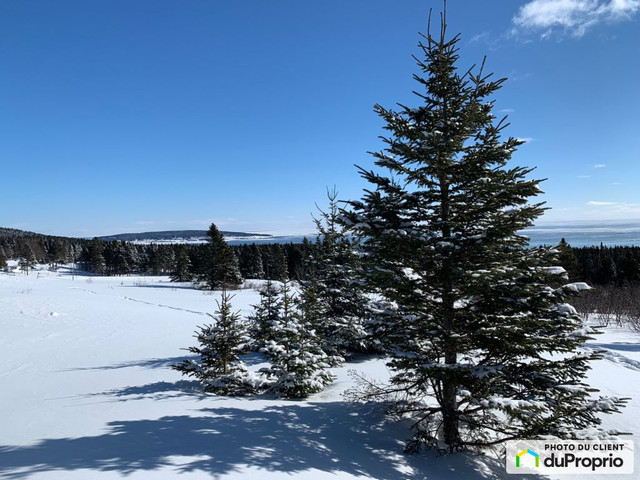 75 000$ - Terrain résidentiel à vendre à Percé dans Terrains à vendre  à Gaspésie - Image 3