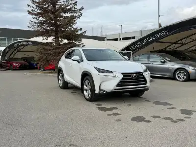 The NX 200t is characterized by its aggressive "spindle" grille and sharp, angular body lines. As th...