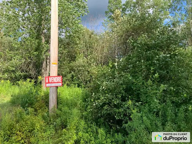 $29,000 - Residential Lot for sale in St-Côme-Linière in Land for Sale in St-Georges-de-Beauce - Image 2