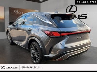 EXECUTIVE PACKAGE ... Engine: LIGHT/MEDIUM DUTY L/100Km City: 11.2 L/100Km Hwy: 8.4 Safety Equipment... (image 3)