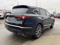 CLEAN CARFAX ONE OWNER, Heated and Cooled Front Seats, Heated Steering Wheel, Back up Camera, PANORA... (image 4)