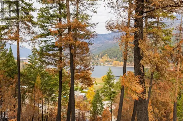 8767 Holding Road Chase, British Columbia in Land for Sale in Kamloops - Image 18
