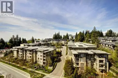 Harmony at The Highlands is a quiet Polygon-built community at UniverCity´s entrance, surrounded by...